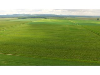TRACT 85 - ILLINOIS LAND AUCTION - 4,810+/- ACRES OFFERED IN 85 TRACTS IN FRANKLIN, WILLIAMSON, HAMILTON & SALINE COUNTIES, ILLINOIS